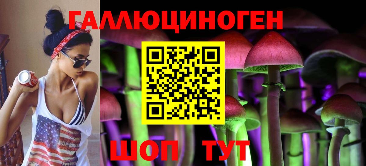 Галлюциногенные грибы Psilocybine cubensis Урус-Мартан